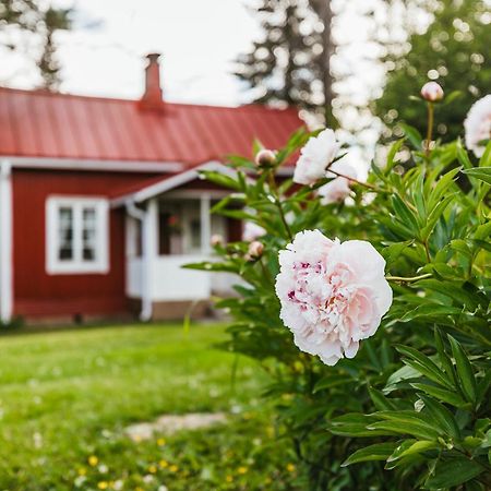 Valkeisen Loma Villa Ahtari Exterior photo